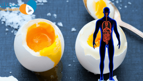 البيض والكوليسترول
