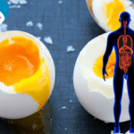 البيض والكوليسترول : هل يتسبب البيض في ارتفاع نسبة الكوليتسرول في الدم؟